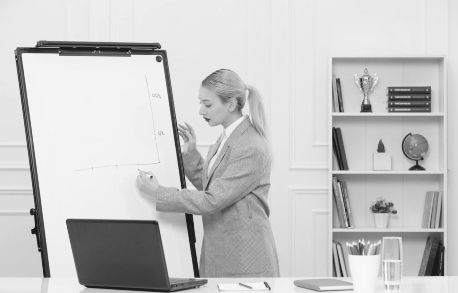 Digital budgeting system interface demonstration